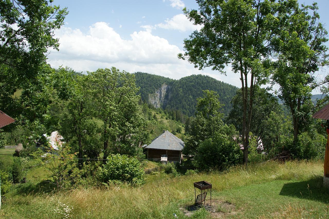 Cabana Ioana Mununa Exterior photo